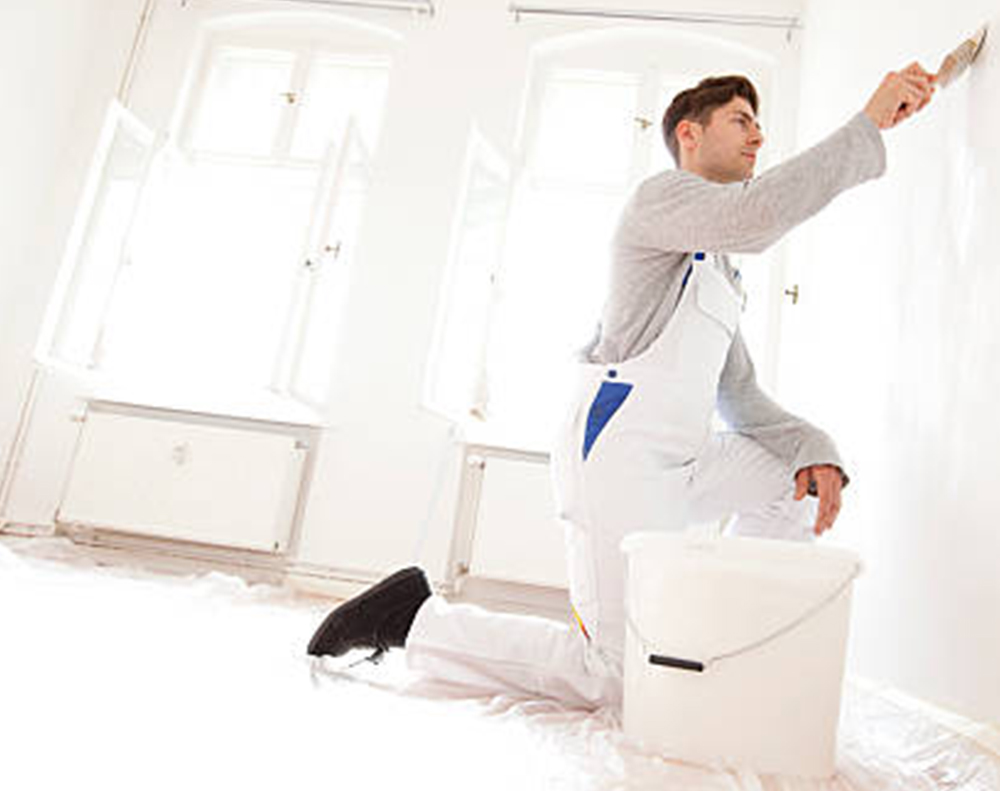 Relius Malerbedarf, Wandfarben aller Art